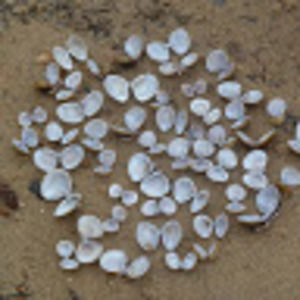 Meet your Posher, Jen